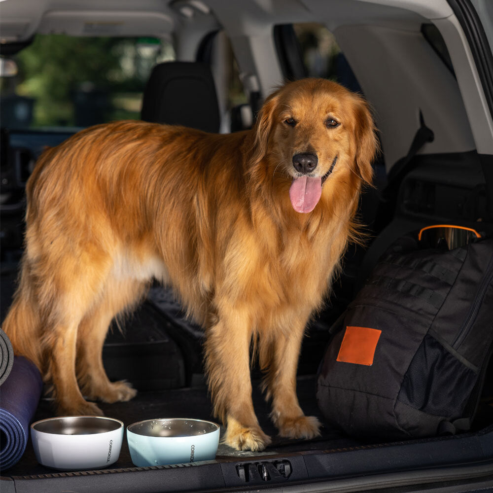Dog Bowl - Classic Active Choice Fit